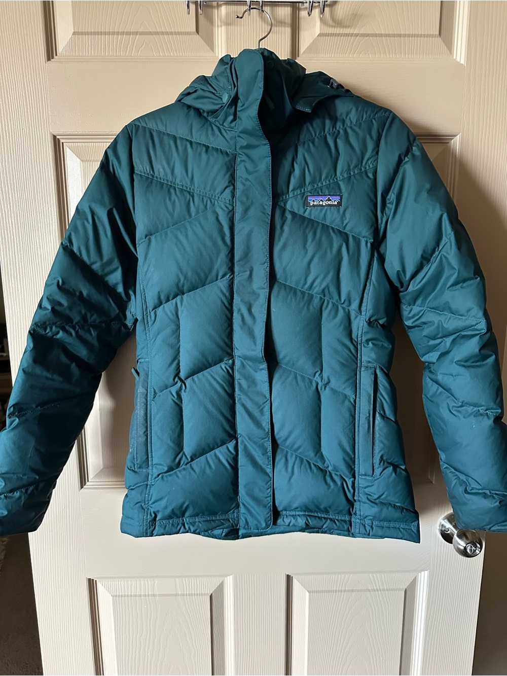 Patagonia Down Coat/Jacket